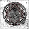 Pikkukuva 2 / 2: Infernal Angels - Shrine Of Black Fire (CD)