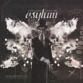 Miniatyrbillede 2 af 2: Jason And The Baron Von Bielski Orchestra Bieler - Postcards From The Asylum (CD)