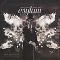 Miniatyrbillede 1 af 2: Jason And The Baron Von Bielski Orchestra Bieler - Postcards From The Asylum (CD)