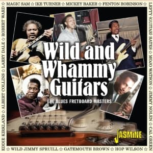 Various Artists - Wild & Whammy Guitars - The Blues F (CD)