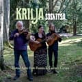 Pikkukuva 1 / 2: Krilja - Sosnitsa  Roma Songs from Russia & Eastern Europe (CD)