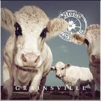 Steve ?N? Seagulls - Grainsville (CD)