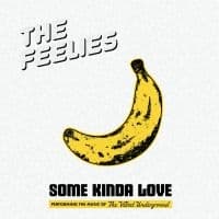 The Feelies - Some Kinda Love: Performing The Mus (CD)