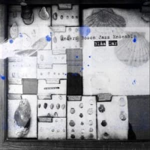 Anders Boson Jazz Ensemble - Blåa Dar (CD)