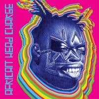African Head Charge - A Trip To Bolgatanga (CD)