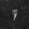 Miniatyrbilde 1 av 2: Bees Made Honey In The Vein Tree - Aion (Digipack) (CD)