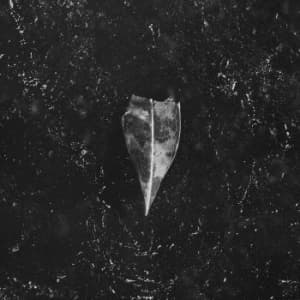 Bees Made Honey In The Vein Tree - Aion (Digipack) (CD)