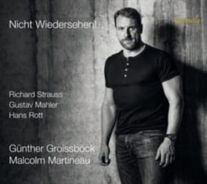 Rott Hans Strauss Richard - Rott & Strauss: Nicht Wiedersehen! (CD)