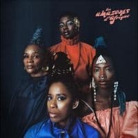 Les Amazones D'afrique - Musow Danse (CD)