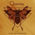 Miniatyrbillede 1 af 2: Quantum - Down The Mountainside (CD)