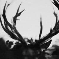 Ihsahn - Ihsahn (CD)