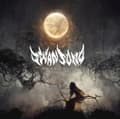 Miniatyrbild 2 av 2: Swansong - Awakening (Digipack) (CD)
