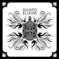 Pikkukuva 1 / 2: Guapo - Elixirs (CD)