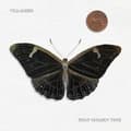 Miniatyrbild 1 av 2: Villagers - That Golden Time (CD)