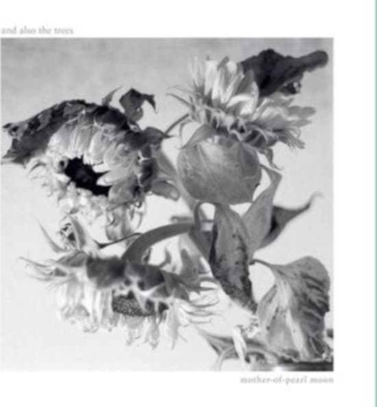 And Also The Trees - Mother-Of-Pearl Moon (CD)