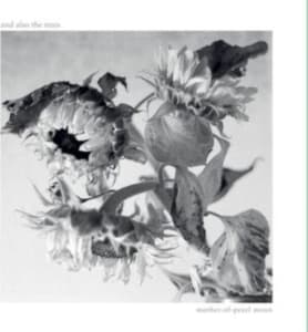 And Also The Trees - Mother-Of-Pearl Moon (CD)