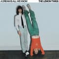 Miniatyrbilde 1 av 2: The Lemon Twigs - A Dream Is All We Know (CD)