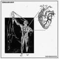 Pikkukuva 1 / 2: Dermabrasion - Pain Behaviour (CD)