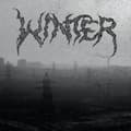 Miniatyrbild 1 av 2: Winter - Live In Brooklyn (CD)