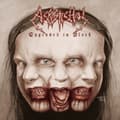 Pikkukuva 1 / 2: Acrostichon - Engraved In Black (CD)