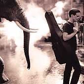 Bryan Adams : On a Day Like Today CD Pre-Owned