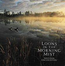 Various Artists : Morning Mist CD Pre-Owned