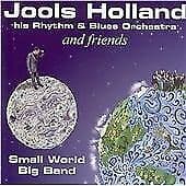 Jools Holland & His Rhythm & Blues Orchestra : Small World Big Band: And Pre-Owned
