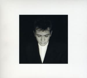Peter Gabriel - Shaking The Tree: 16 Golden Greats (CD)