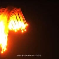 Body The & Dis Fig - Orchards Of A Futile Heaven (CD)