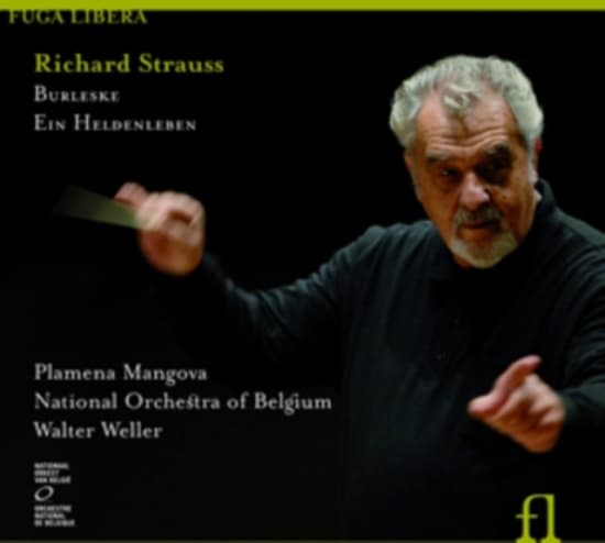 Richard Strauss - Strauss R. / Burleske / Ein Helden (CD)