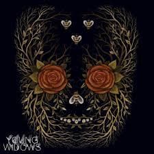 Young Widows : In & Out of Youth & Lightness CD Pre-Owned