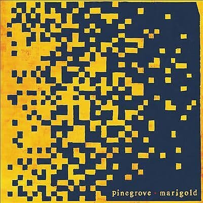 Pinegrove : Marigold CD (2020) Pre-Owned