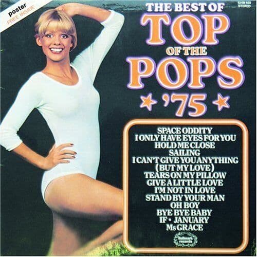 Various Artists : The Best of Top of the Pops ’75 CD (2002) Pre-Owned