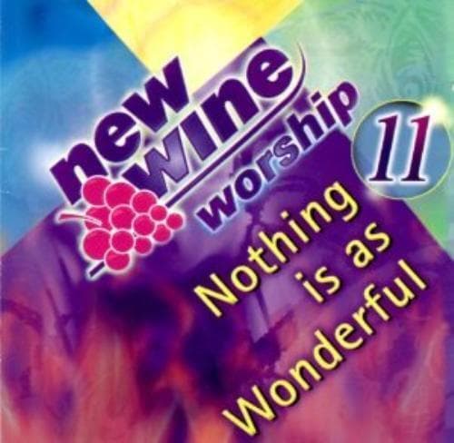 Various : New Wine Worship 11 CD Pre-Owned