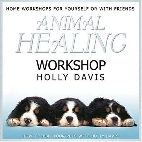 Animal Healing Workshop CD (2006) Pre-Owned