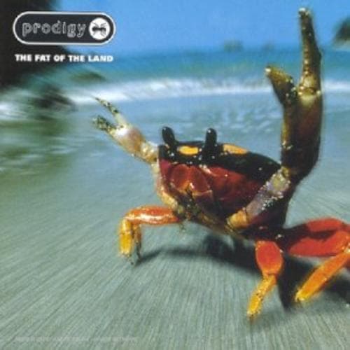 Prodigy, the : The Fat of the Land CD Pre-Owned