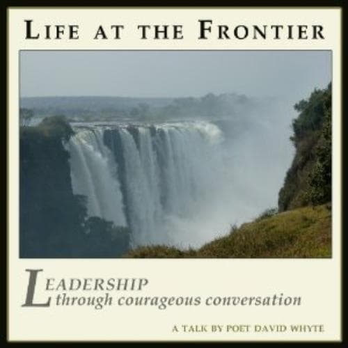 Unknown Artist : LIFE AT THE FRONTIER audio cd CD Pre-Owned
