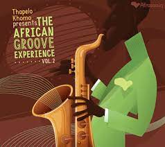 Unknown Artist : The African Groove Experience Vol.2 CD Pre-Owned