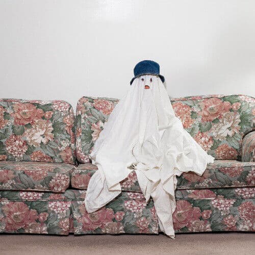 Chastity Belt : Time to Go Home CD (2015) Pre-Owned