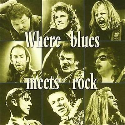 Various Artists : Where Blues Meets Rock CD (2002) Pre-Owned