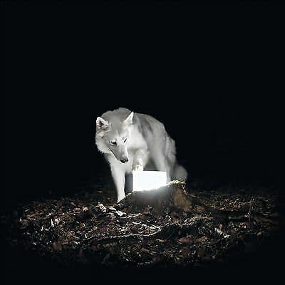 Vanishing Life : Surveillance CD (2016) Pre-Owned