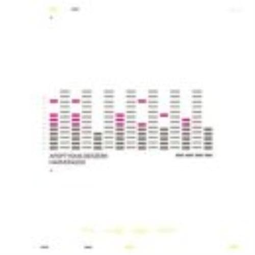 Apoptygma Berzerk : Harmonizer CD Pre-Owned