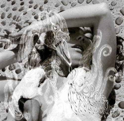 Bjork : Vespertine CD Pre-Owned