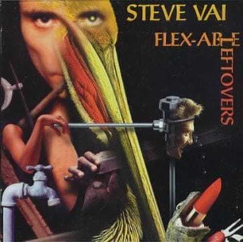 Steve Vai : Flex-Able Leftovers CD Pre-Owned