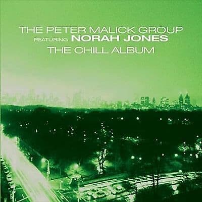 The Peter Malick Group : The Chill Album CD (2006) Pre-Owned