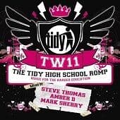 Various Artists : Tidy High School Romp, The (Mixed By Steve Thomas, Amber D) Pre-Owned