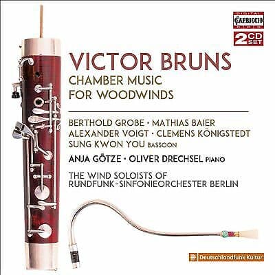 Victor Bruns : Victor Bruns: Chamber Music for Woodwinds CD 2 discs (2017) Pre-Owned