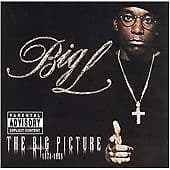 The Big Picture CD (2000) Pre-Owned