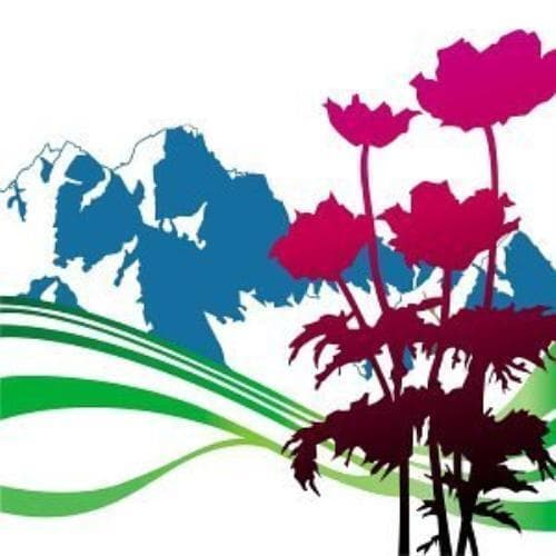 International:The Best of New Order CD Pre-Owned