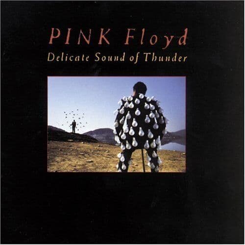 Pink Floyd : Delicate Sound Of Thunder CD Pre-Owned
